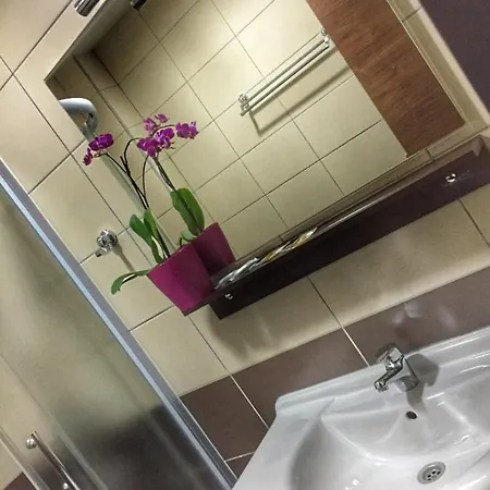 أواز كونييتش